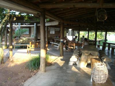 鳥のさえずりを聞きながら食事ができます