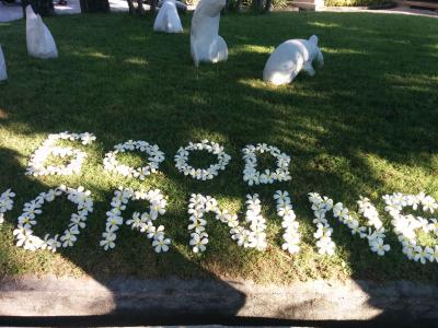 庭には落ちた花でこんな文字が。嬉しくなります