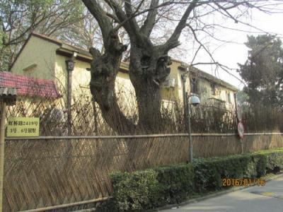 龍柏飯店3号楼の建物。