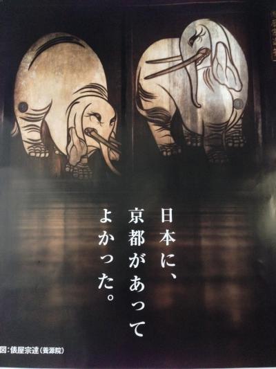 京都。俵屋宗達や血天井など、ぜひ訪れて欲しい場所です！