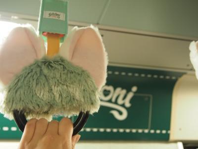 見るだけでもワクワクする