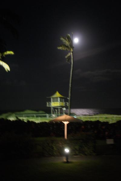 部屋から見えるビーチ監視小屋