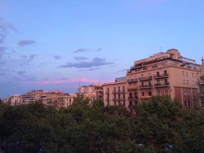 窓から。７：３０でやっと日が昇ってきたなというかんじ。