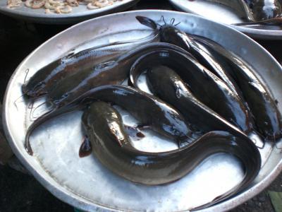 現地人御用達のマーケット！！