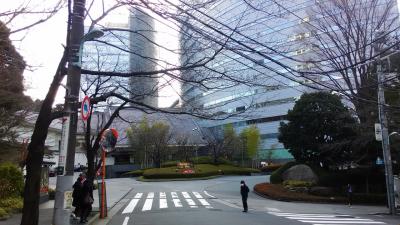 100段階段とお雛様