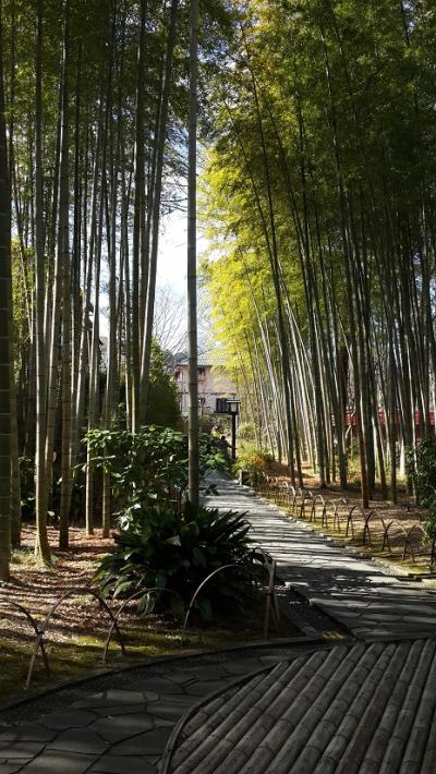 京都みたいな感じですが、、、、