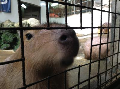 小動物に癒され～♪