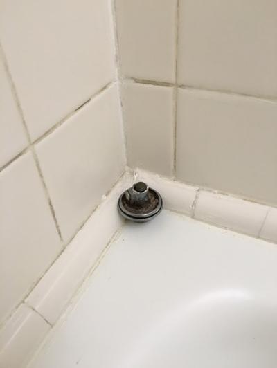 お風呂の栓がポツンと置かれてました