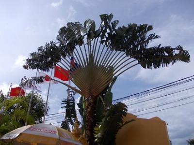 ホテル前庭の光景