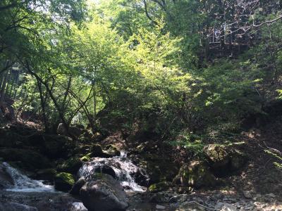 マイナスイオンいっぱいの、神奈川の穴場公園