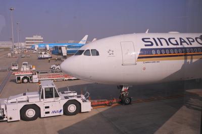 期待し過ぎちゃいかん