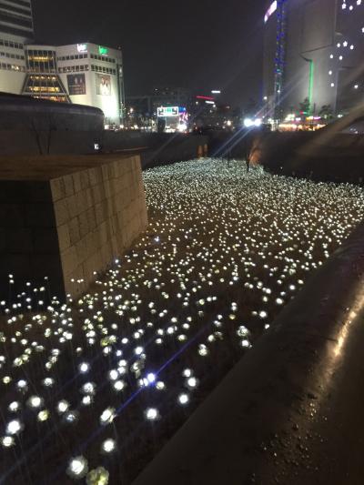 LEDバラ園は22時すぎてもやっていた