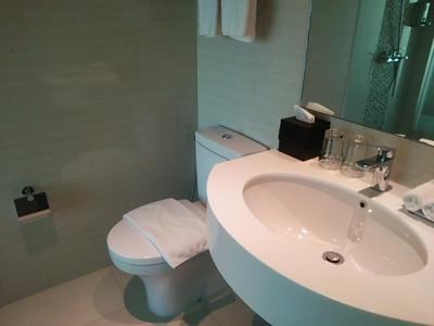 きれいでしたが、シャワーのみでバスタブがなかったのが残念