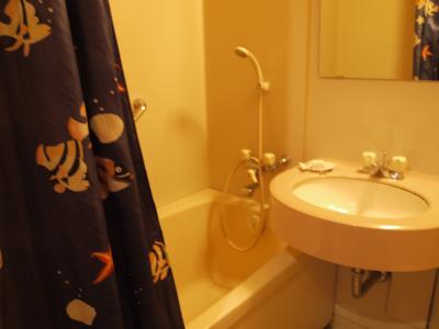 シャワーカーテンがなんだか家庭っぽい