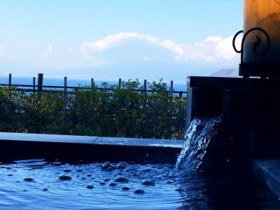 富士山を眺めながらの入浴