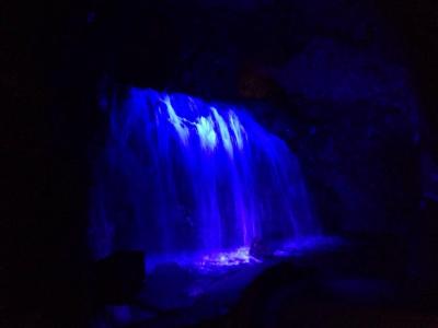 幻のムー大陸がここに？