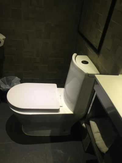 ペーパーは流してはいけないタイプのようです