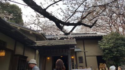 たまには上品に花をめでながら会席膳をいただこう！