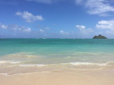 きれいでした。