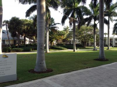 朝の散歩が気持ちい〜い