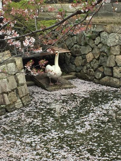 美観地区といえば