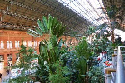 出入口を良く確認しないと ぐるり大周りすることになる