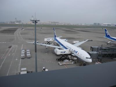 次の空の旅はどこへ。