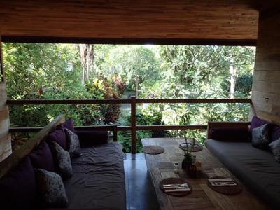 レストランから見た中庭