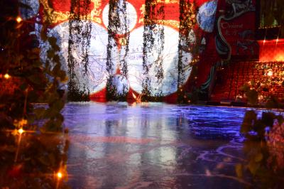 ラスベガスの「Ｏ（ｵｰ）」とは違った魅力