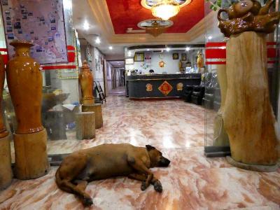 入口に寝ている老犬「ターキー」