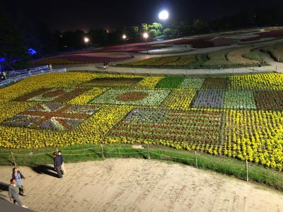 年に1度は楽しみたい