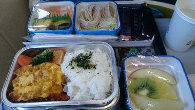 エンタテイメントは無いけど快適な飛行機