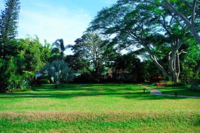 庭は結構ひろいです