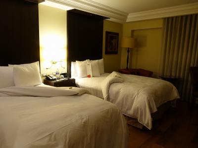 清潔で十分な広さの客室