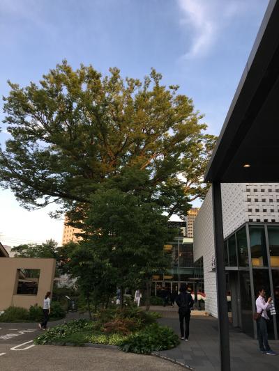 ゆったりのんびり出来るところ