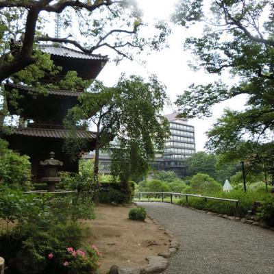 ホタルの時期で良かったです