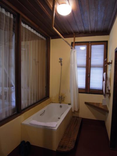 部屋とガラスで仕切られたバスルームも木の風合い