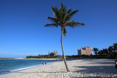 綺麗なビーチから