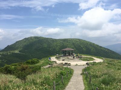 ミヤマキリシマが最高でした