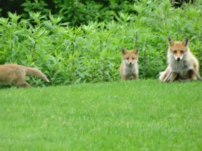 初心者にもやさしいゴルフコース
