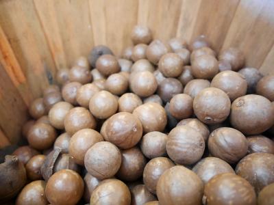 試食たっぷり！　+　マカダミアナッツ割体験！！