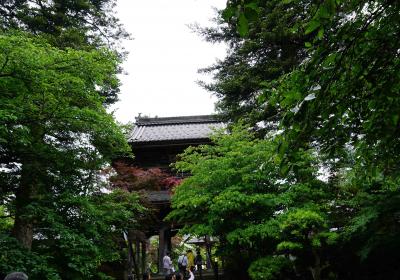 花の寺巡礼　第六番　隆国寺　　トイレに不動明王が安置されています。