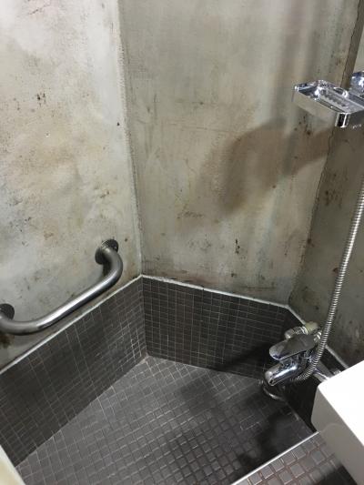 バスタブはすごく小さかったです！