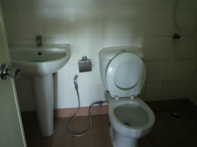 客室横のトイレ・シャワー室内の様子です。きれいになっています