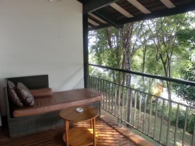 せっかくデイベットあるけど木が邪魔