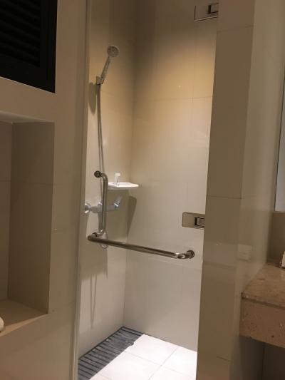 シャワーの水圧は十分。