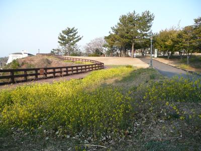 広々とした庭園