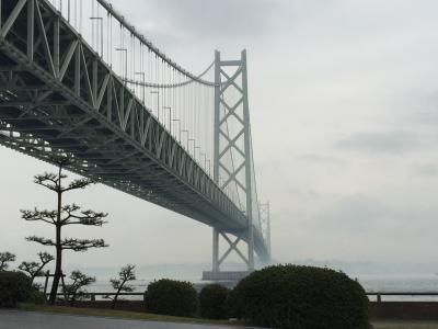 下から見る大橋は絶景です