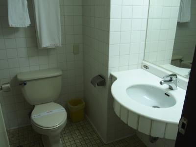 ウオッシュレットは欲しい所だが