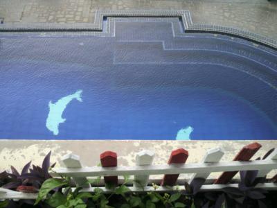 青く透き通ったプールの水の中にイルカの像を見ることができます